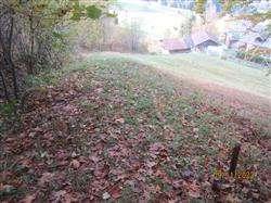 immobile terreno all'asta in Localita' Saline - 38050 Canal San Bovo (TN) - 5