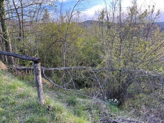 immobile terreno all'asta in località La Pilla Monzuno (BO) - 1