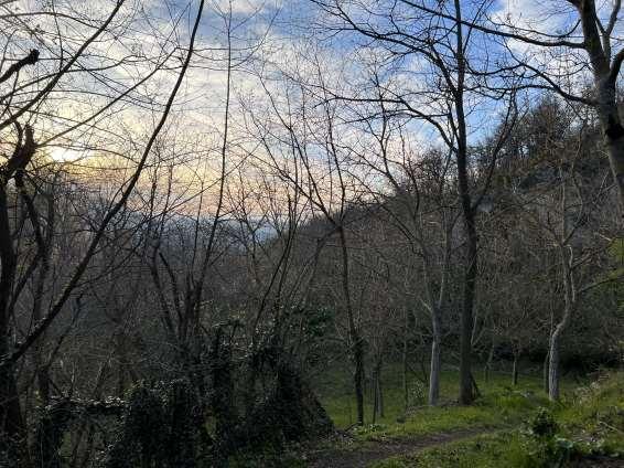 immobile terreno all'asta in località La Pilla Monzuno (BO) - 2