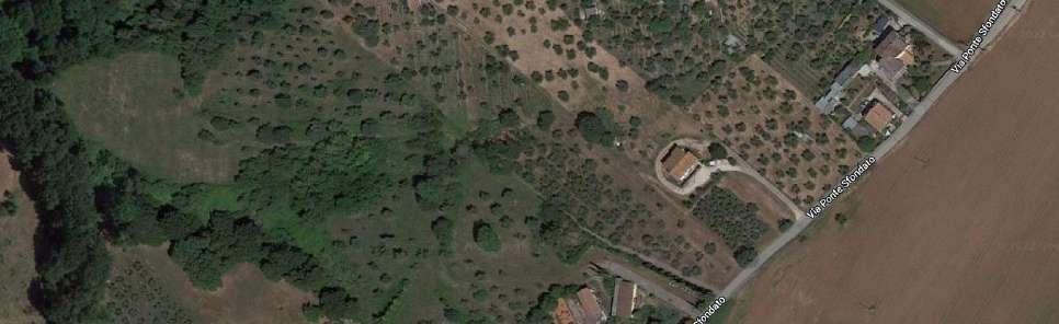 immobile negozio all'asta in localita Pontesfondato, Via Ponte Sfondato, 46 - 02034 Montopoli di Sabina (RI) - 1