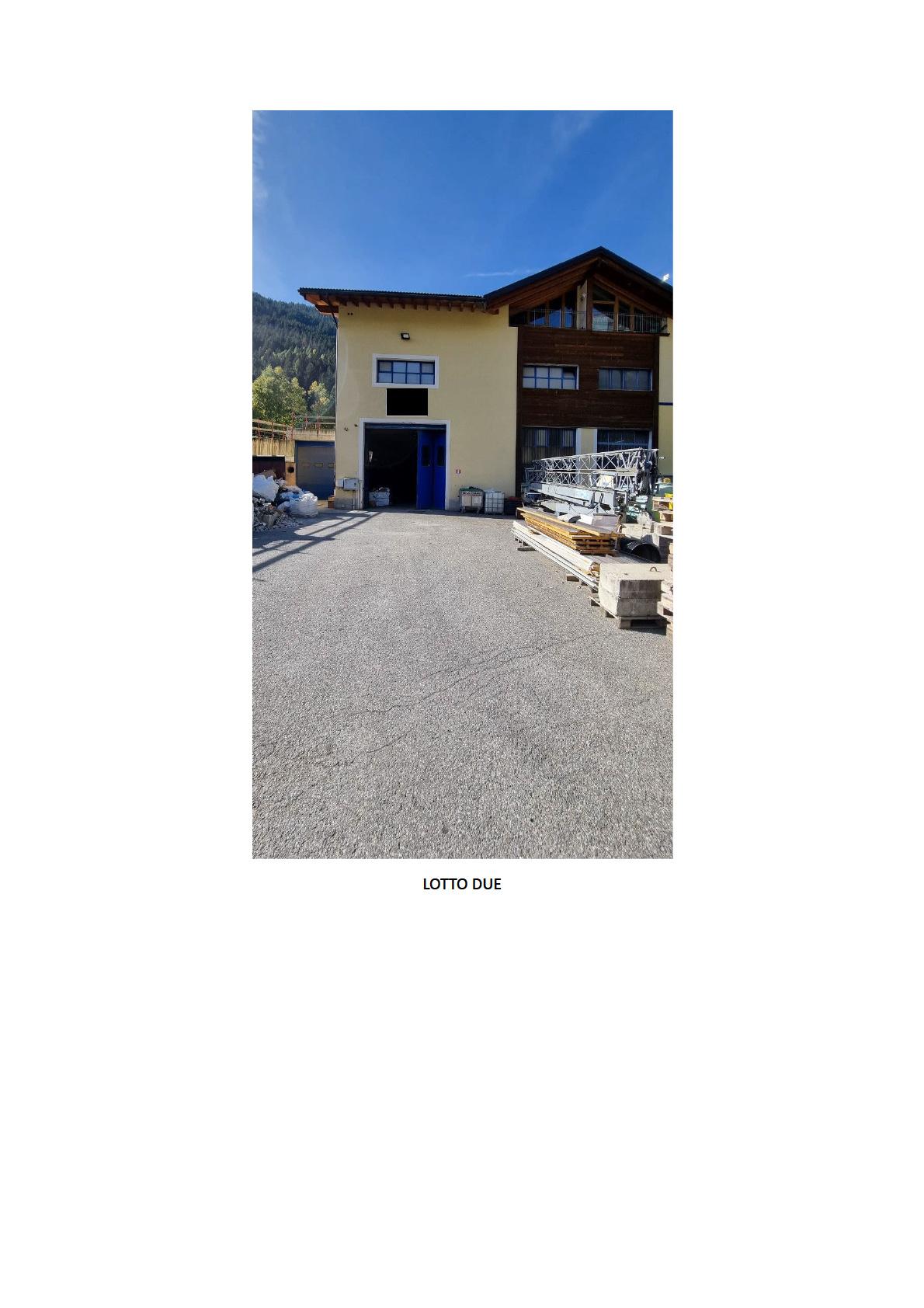 immobile magazzino all'asta in Via Belvedere n 38 - Frazione Premadio Valdidentro (SO) - 1