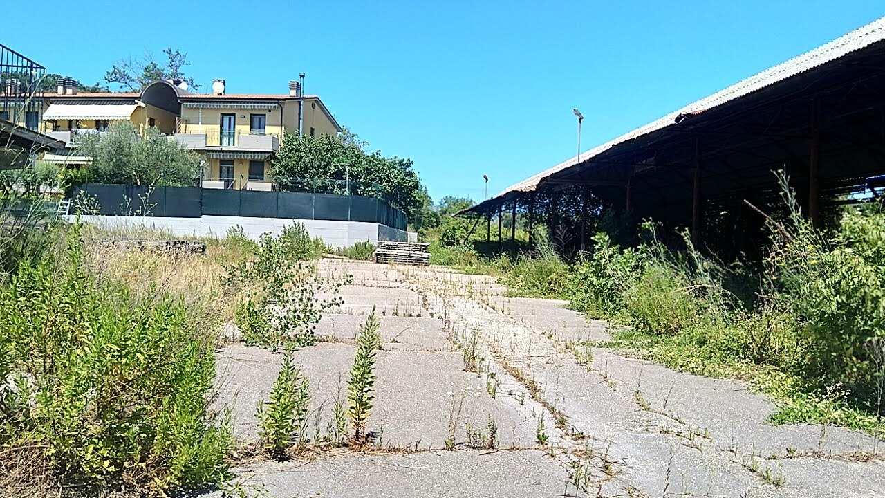 immobile terreno all'asta in Localita' Cattabrighe - Strada Fornace 108 - 61100 Pesaro (PU) - 1