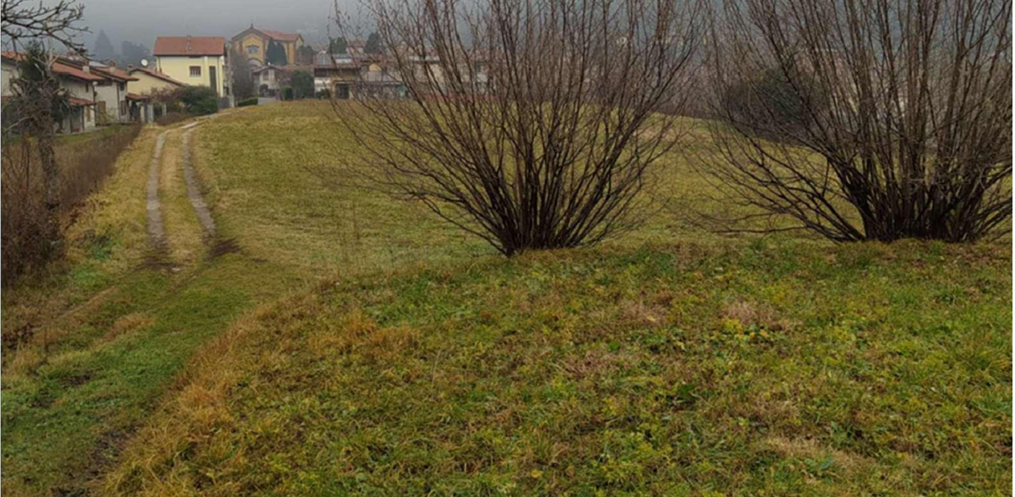 immobile terreno all'asta in Frazione Cologna - Via De Amicis/Via del Pascolo - 23884 Castello di Brianza (LC) - 4