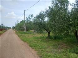 immobile terreno all'asta in SP 234 Corato (BA) - 3