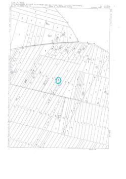 immobile terreno all'asta in SP 234 Corato (BA) - 5