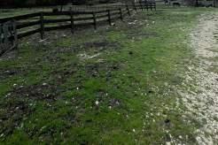 immobile terreno all'asta in Via Macere snc - 66018 Taranta Peligna (CH) - 5