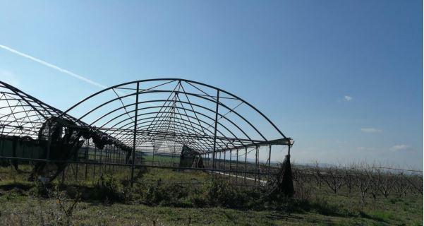 immobile attivita commerciale all'asta in C/da Boreano - 85029 Venosa (PZ) - 3