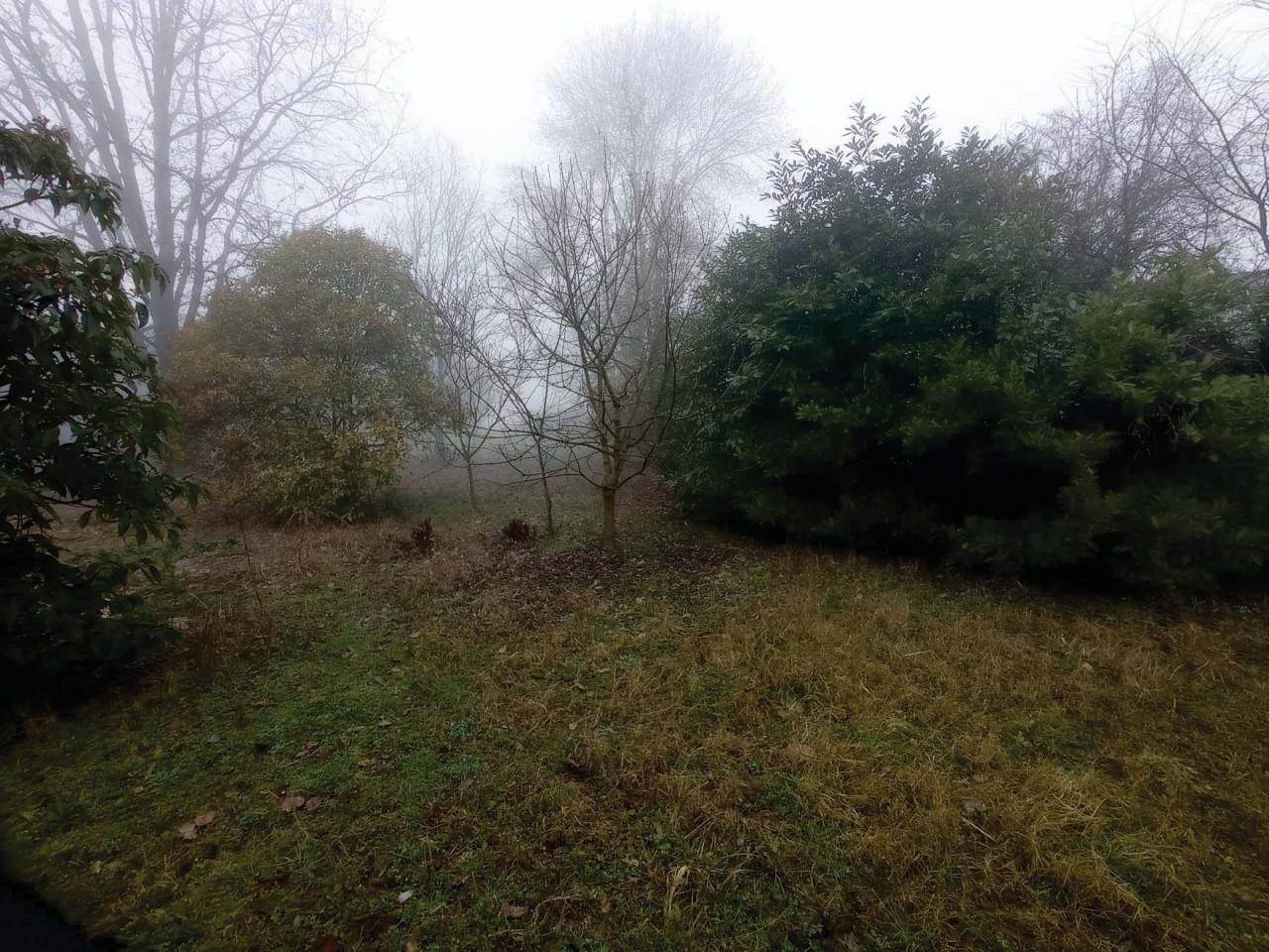 immobile APPARTAMENTO ALL'ASTA IN VIA FOSCARINE N 35 - 31048 SAN BIAGIO DI CALLALTA (TV) - 5