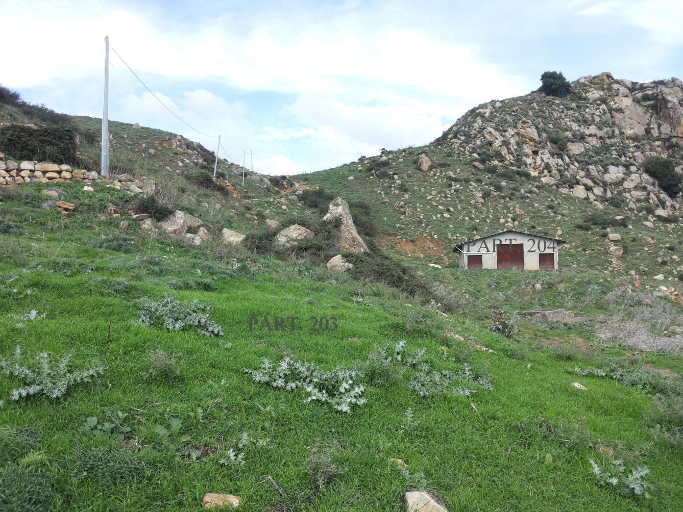 immobile terreno all'asta in c/da Cangemi sn - 94017 Regalbuto (EN) - 3