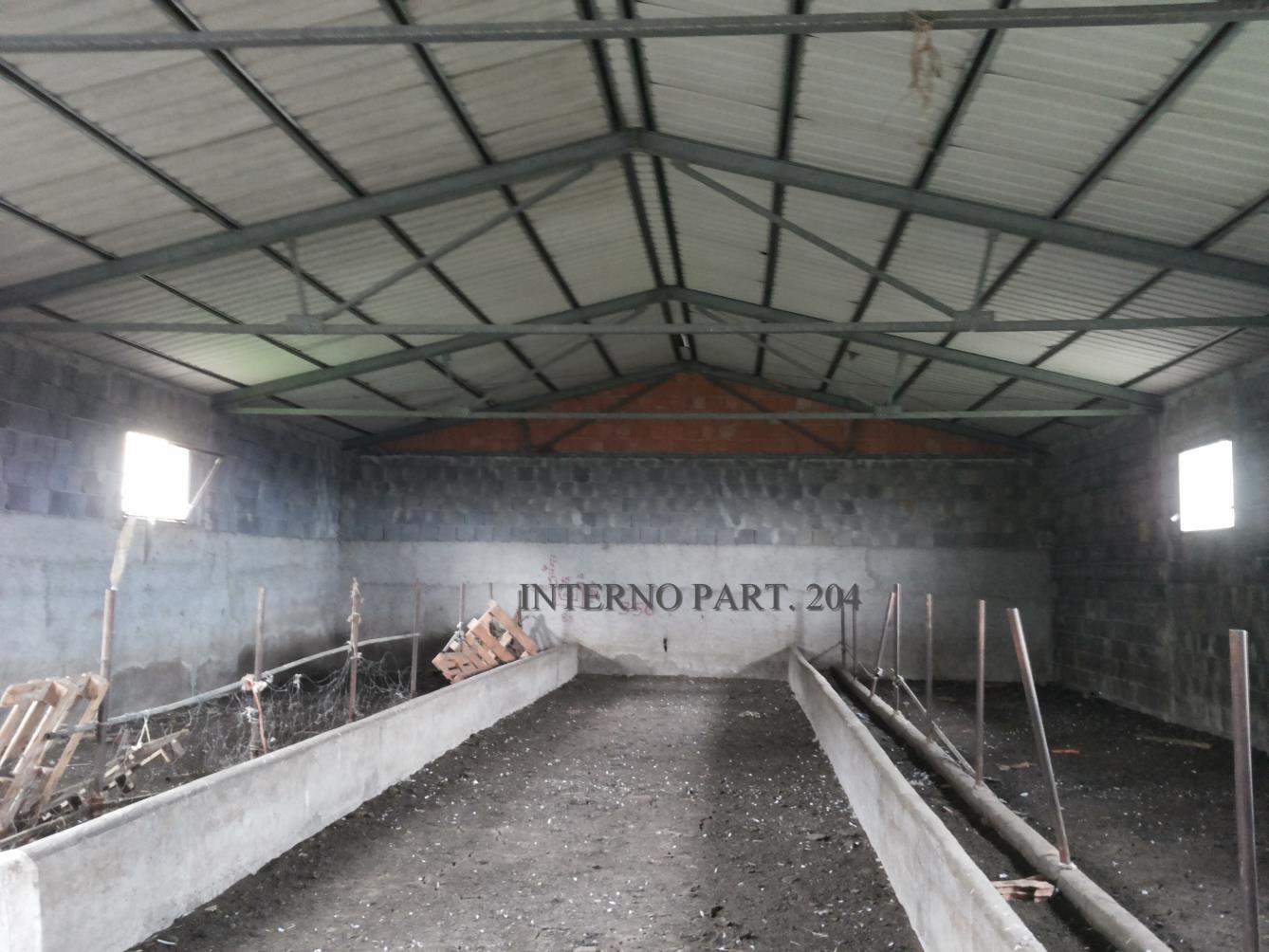 immobile terreno all'asta in c/da Cangemi sn - 94017 Regalbuto (EN) - 4