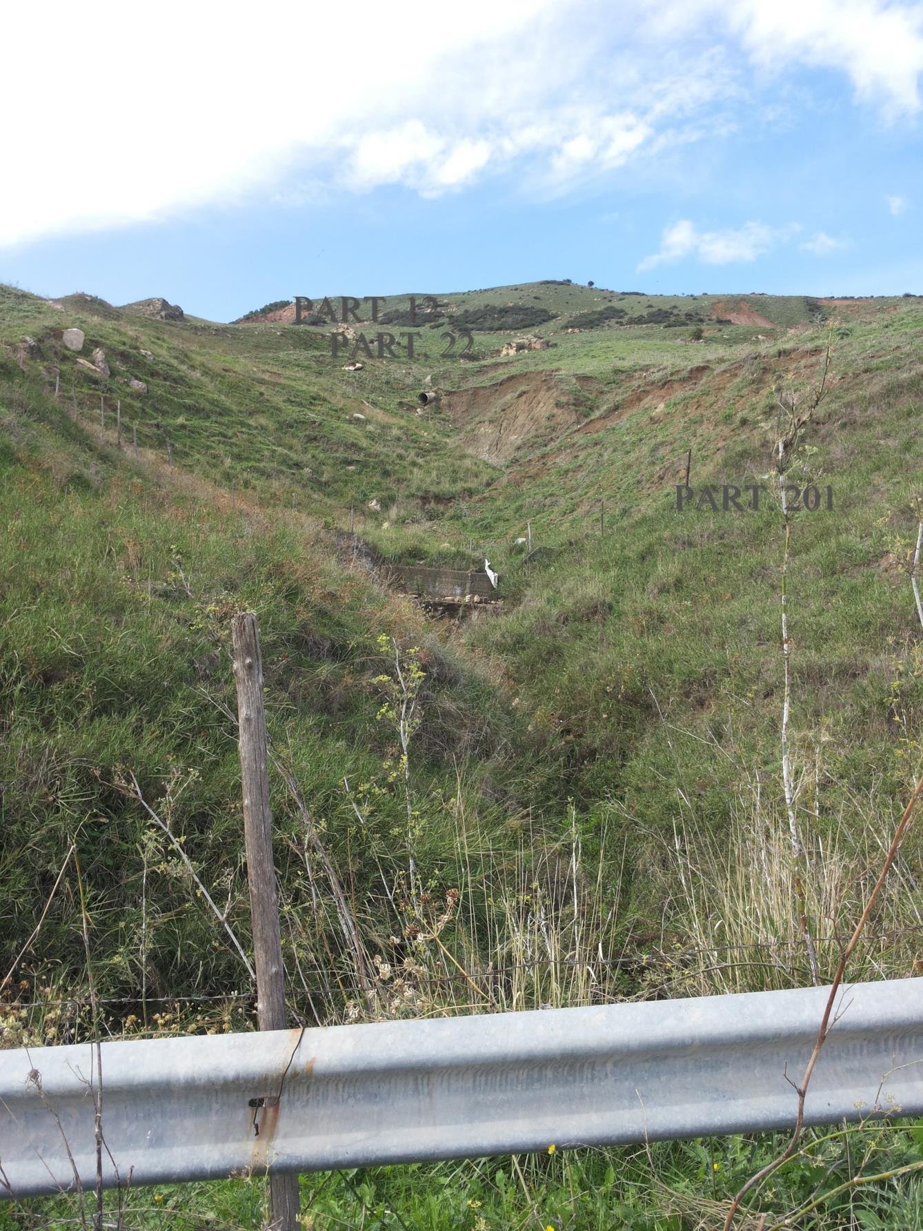 immobile terreno all'asta in c/da Cangemi sn - 94017 Regalbuto (EN) - 5