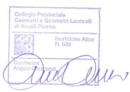 immobile terreno all'asta in Via Dell'Industria - 64014 Martinsicuro (TE) - 2