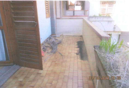 immobile APPARTAMENTO ALL'ASTA IN VIA SPIAGGIA, MASCALI (CT) - 4