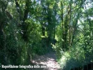 immobile terreno all'asta in Fornoli - 54028 Villafranca in Lunigiana (MS) - 1