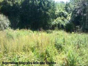 immobile terreno all'asta in Fornoli - 54028 Villafranca in Lunigiana (MS) - 2