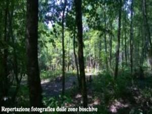 immobile terreno all'asta in Fornoli - 54028 Villafranca in Lunigiana (MS) - 4