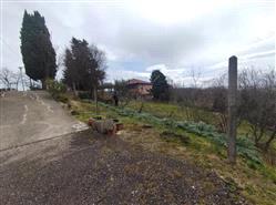 immobile terreno all'asta in Via Duchi di Montefeltro snc - 61029 Urbino (PU) - 3