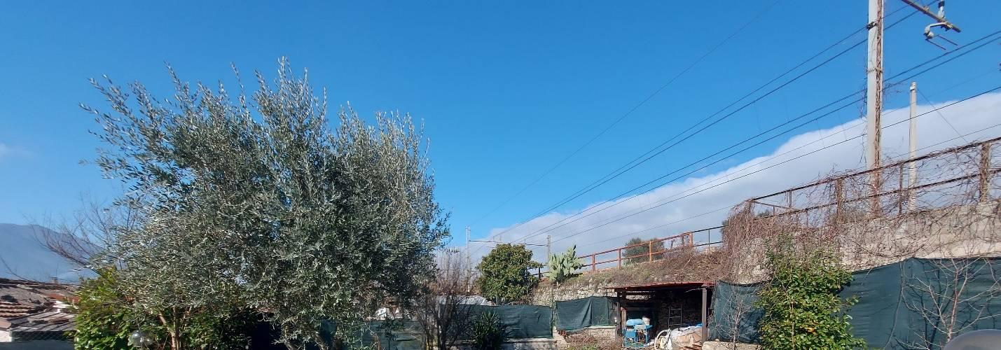 immobile appartamento all'asta in Via Stazione Supino - 03013 Ferentino (FR) - 3