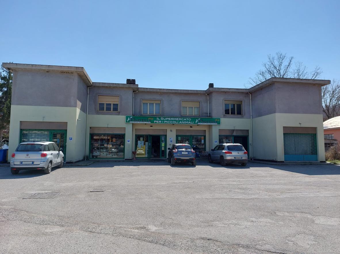immobile magazzino all'asta in Via Salaria per l'Aquila snc - 02015 Cittaducale (RI) - 2