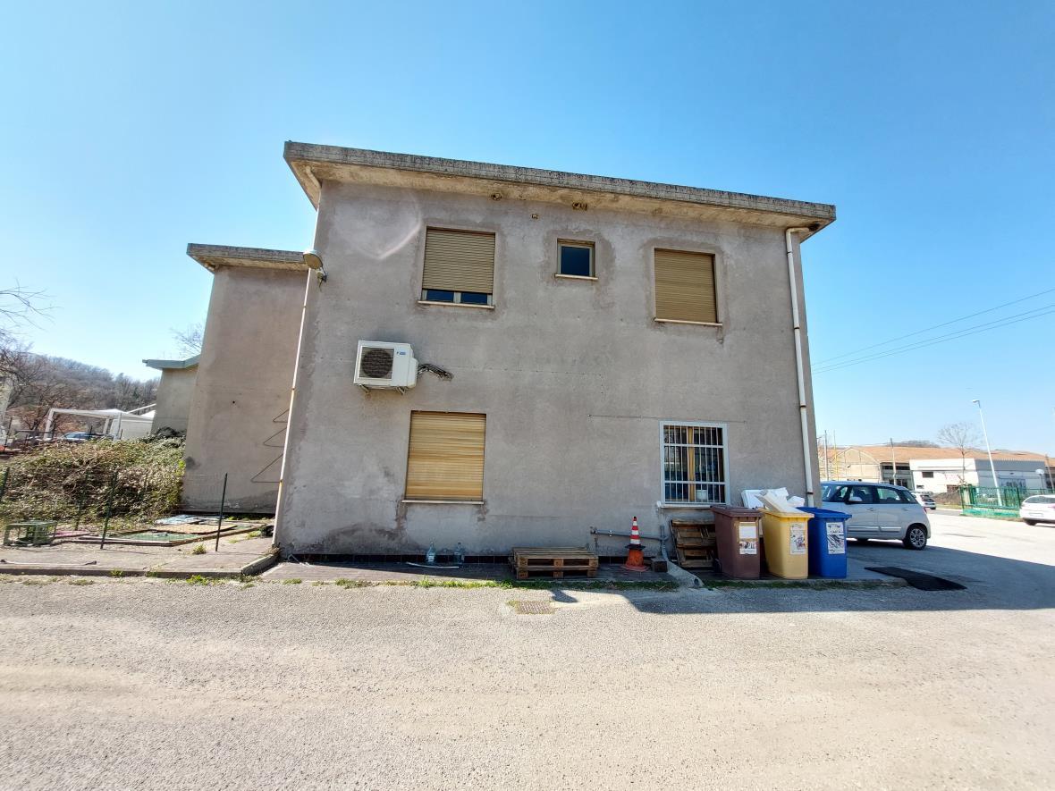 immobile magazzino all'asta in Via Salaria per l'Aquila snc - 02015 Cittaducale (RI) - 5