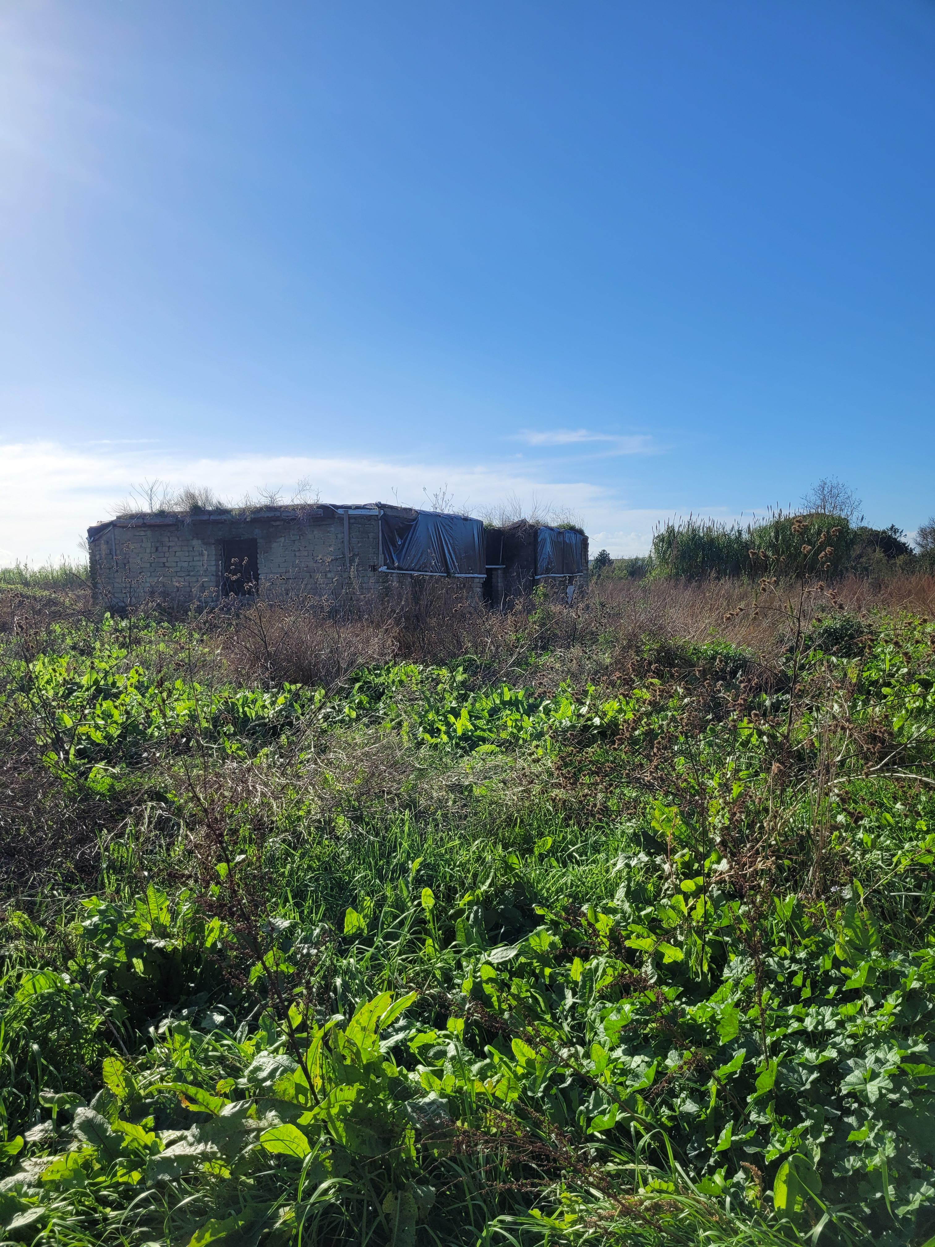immobile rustico all'asta in VIA MADONNA DEL PANTANO - 80014 Giugliano in Campania (NA) - 2