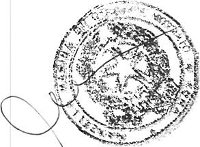 immobile terreno all'asta in Via dei Ciocca - 67100 L'Aquila (AQ) - 5