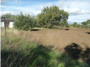 immobile terreno all'asta in Contrada Padelli - 87017 Roggiano Gravina (CS) - 1