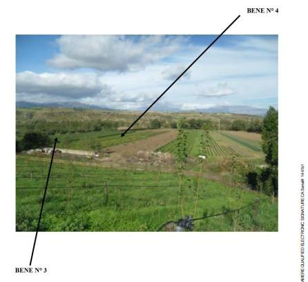 immobile terreno all'asta in località Grisafi - 87017 Roggiano Gravina (CS) - 1