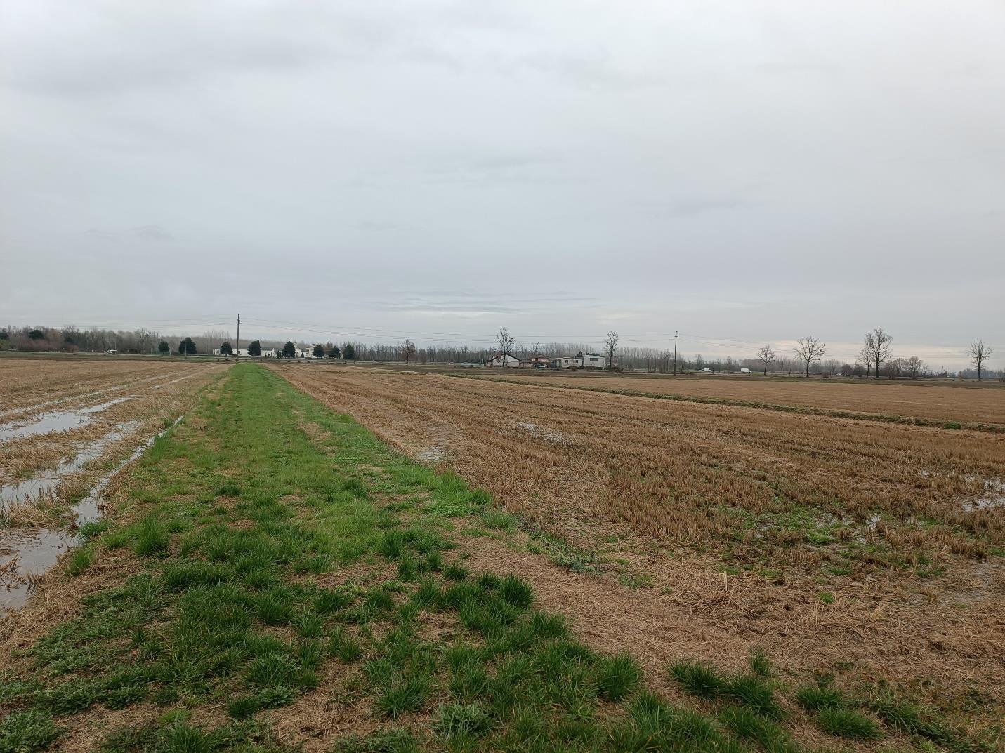 immobile terreno all'asta in Accesso da strada agricola snc - 27020 Parona (PV) - 5