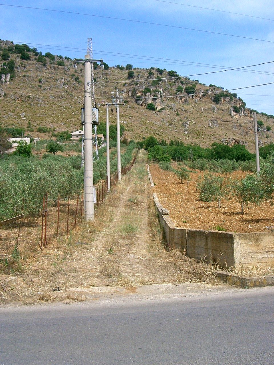 immobile terreno all'asta in Contrada Pianetto - 90030 Santa Cristina Gela (PA) - 1