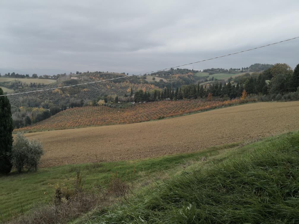 immobile appartamento all'asta in Via Mombaroccio - 61030 Cartoceto (PU) - 5