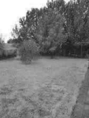 immobile TERRENO IN VENDITA ALL'ASTA IN C. TORRETTA CALTANISSETTA, CALTANISSETTA (CL) - 1