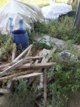 immobile CAPANNONE IN COSTRUZIONE IN VENDITA ALL'ASTA IN VIA PRATI, FORLIMPOPOLI (FC) - 3