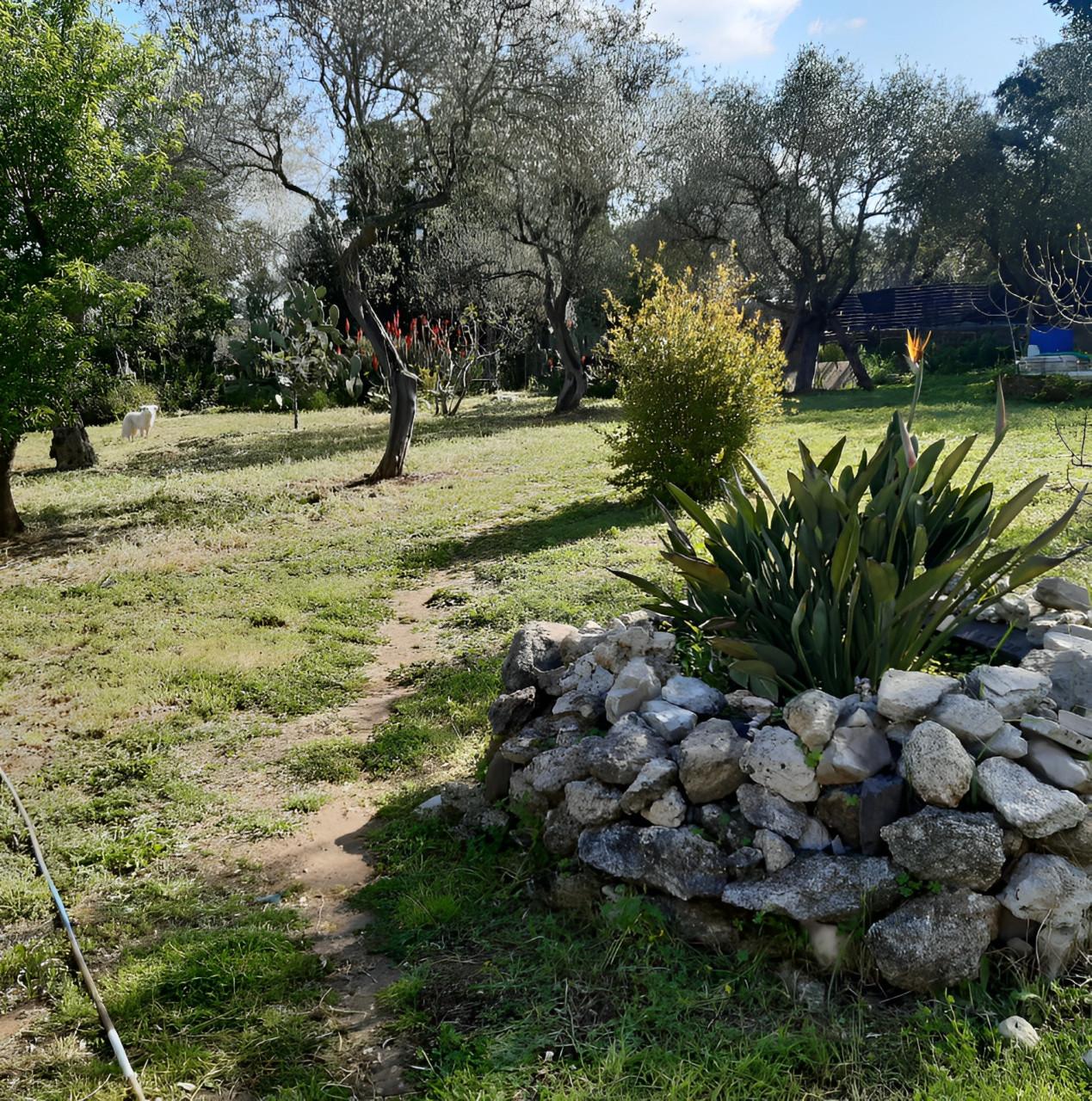 immobile VILLA ALL'ASTA CON TERRENO IN STRADA VICINALE MONTALE', SASSARI (SS) - 4