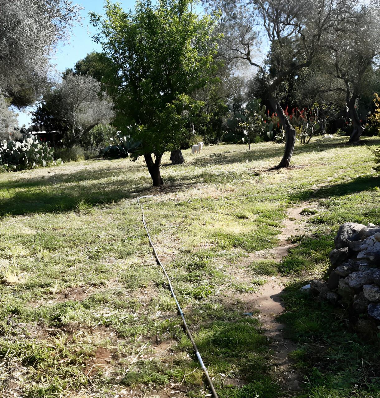 immobile VILLA ALL'ASTA CON TERRENO IN STRADA VICINALE MONTALE', SASSARI (SS) - 5
