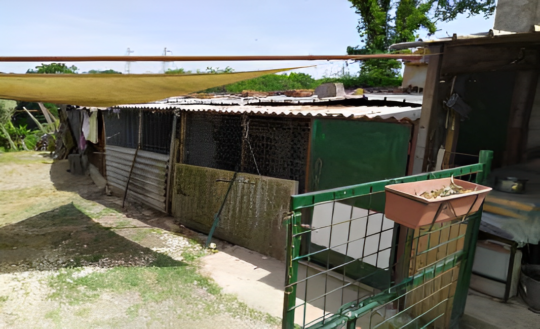 immobile COMPENDIO IN VENDITA ALL'ASTA IN STRADA DELLE CASE ALTE, NARNI (TR) - 4