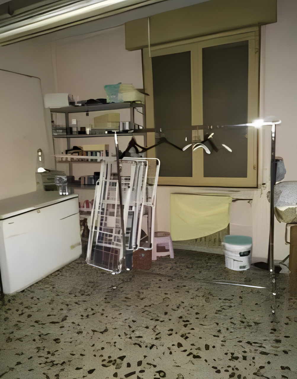 immobile BIFAMILIARE IN VENDITA ALL'ASTA IN VIA XXV LUGLIO, NOVELLARA (RE) - 5