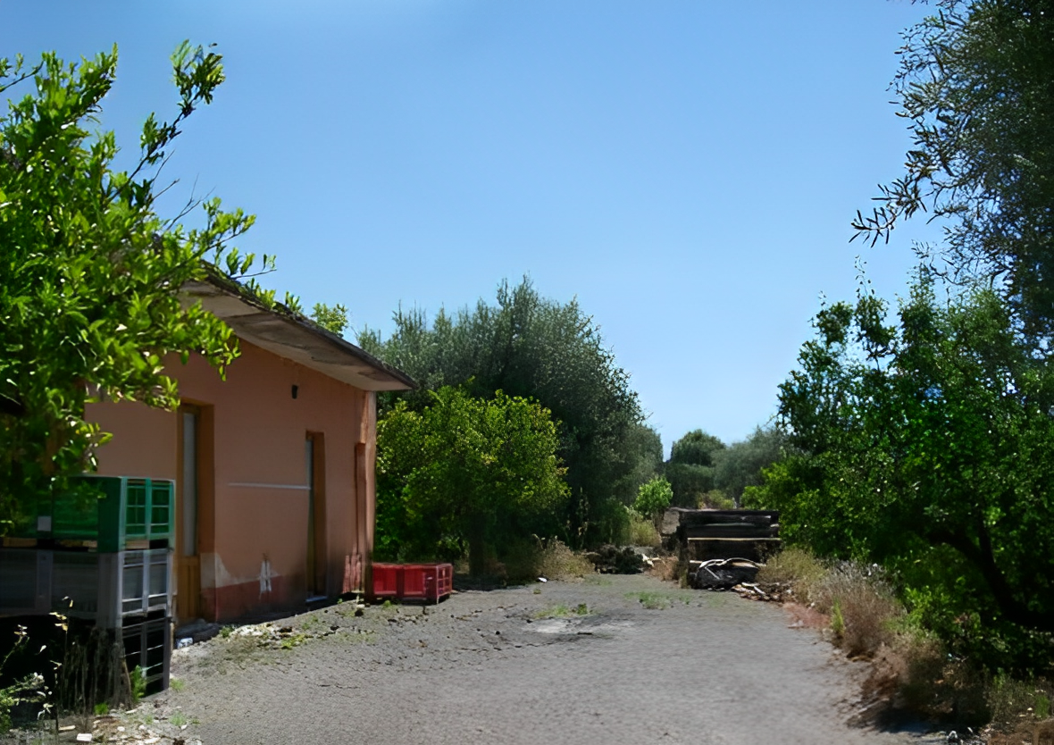 immobile TERRENO IN ASTA, SANTA MARIA DI LICODIA (CT) - 4