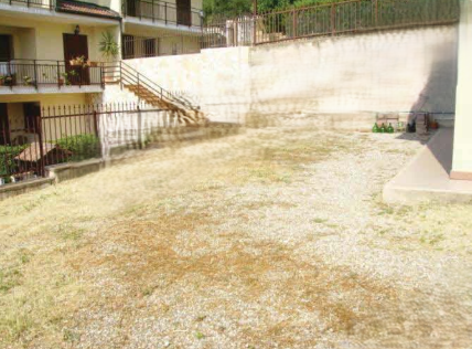 immobile AREA URBANA IN VENDITA ALL'ASTA IN LOCALITA' PARRILLE, MONTALTO UFFAGO (CS) - 4