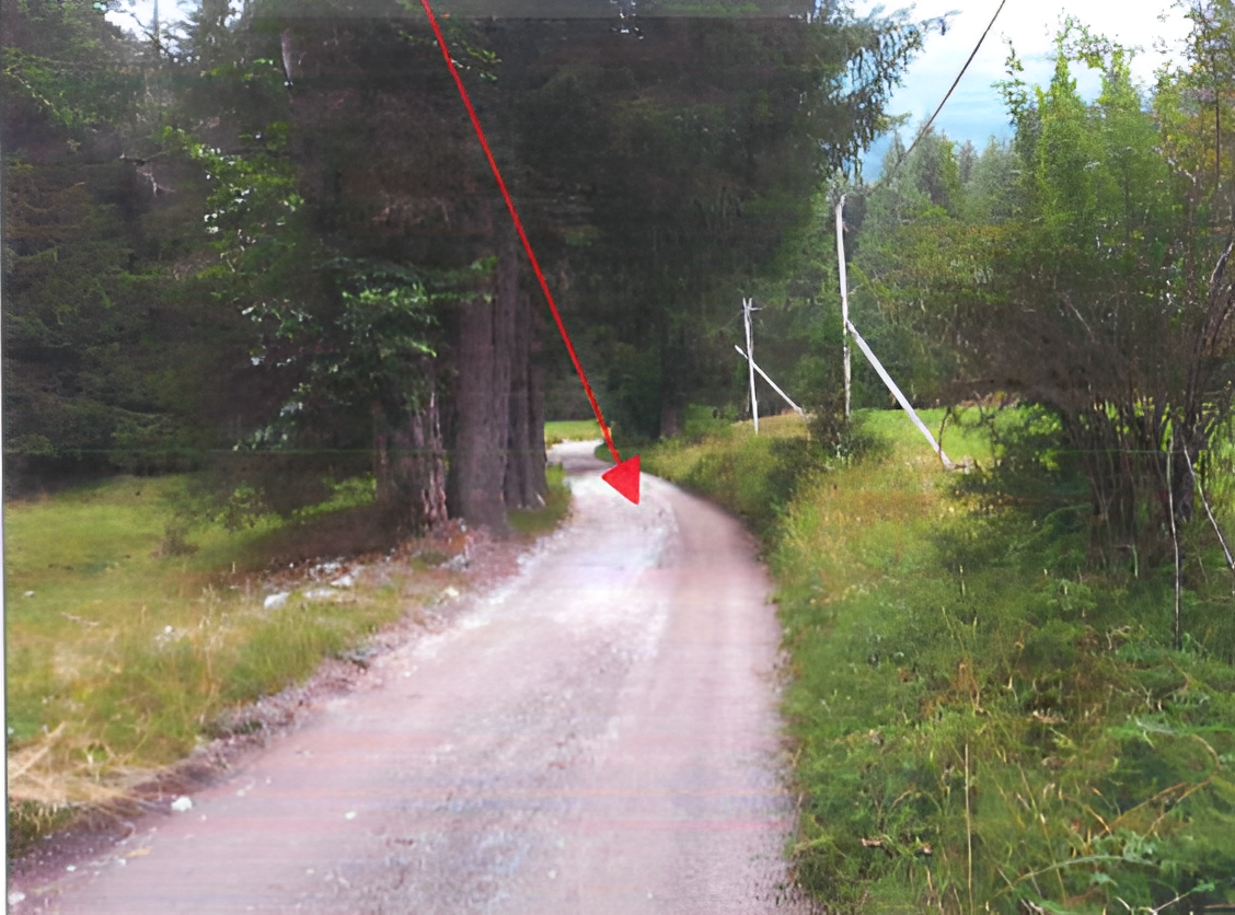 immobile TERRENO IN VENDITA ALL'ASTA IN VIA CASE SPARSE DI V., PONTE DI LEGNO (BS) - 2
