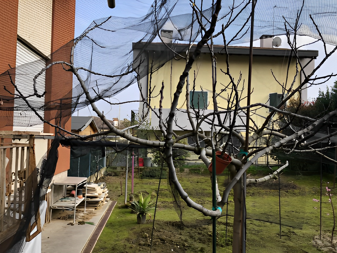 immobile QUADRILOCALE IN VENDITA ALL'ASTA IN VIA SCUOLE, CASTELFRANCO VENETO (TV) - 3