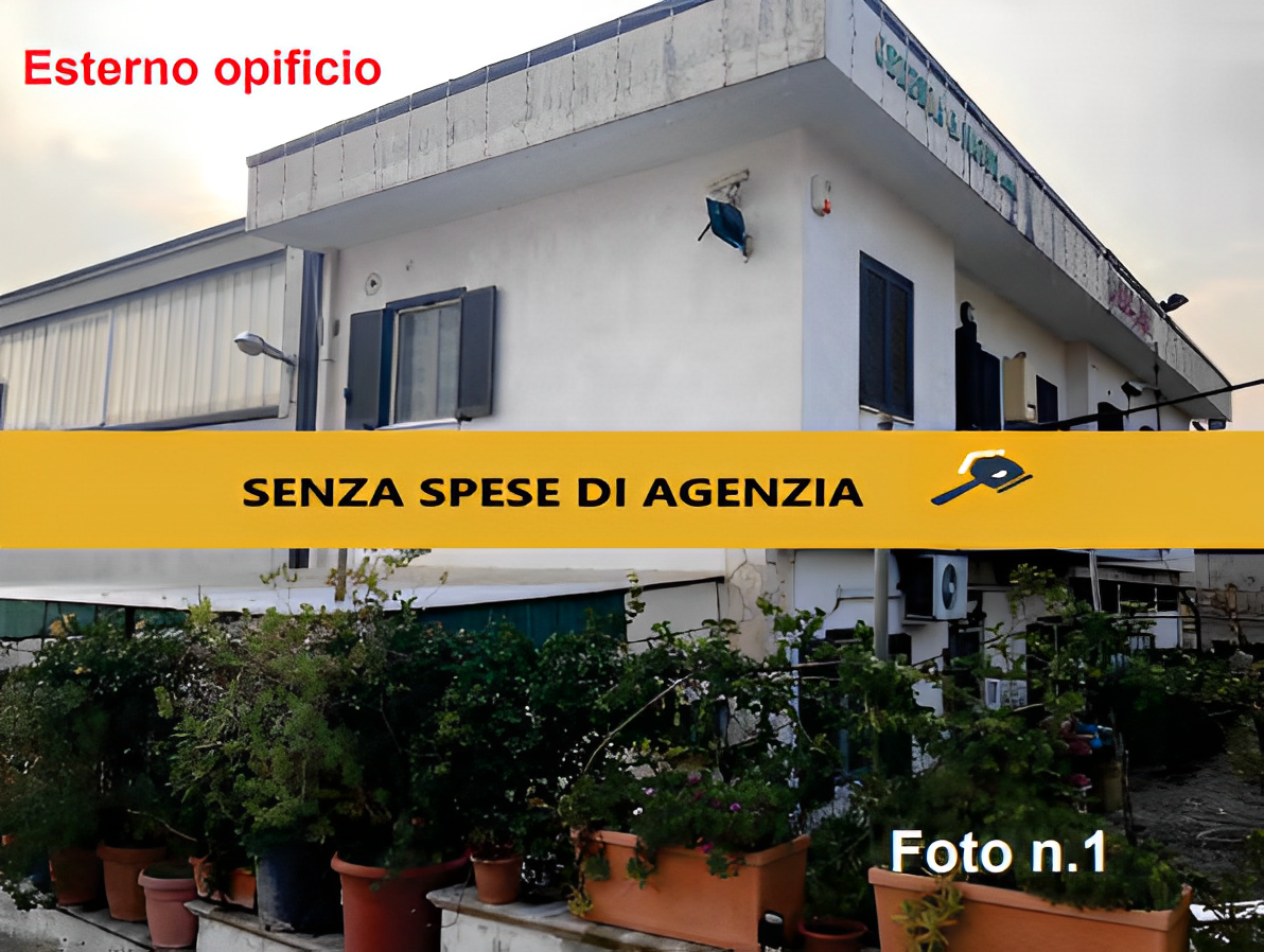 immobile OPIFICIO IN VENDITA ALL'ASTA IN STRADA C. DI PALMA, LIVERI (NA) - 1