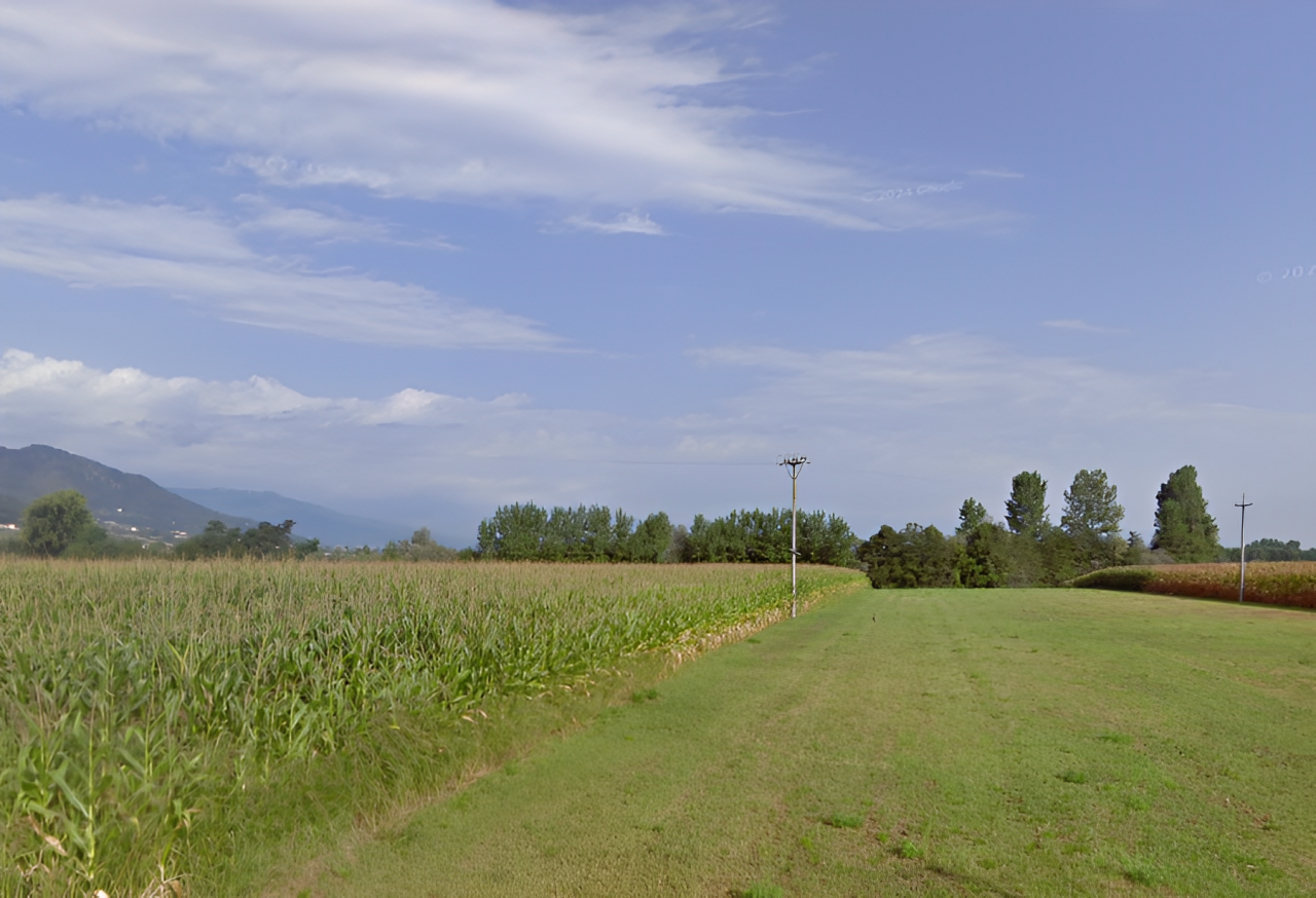 immobile TERRENO AGRICOLO IN VENDITA ALL'ASTA IN VIA SALUZZO ANTICA, BARGE (CN) - 2