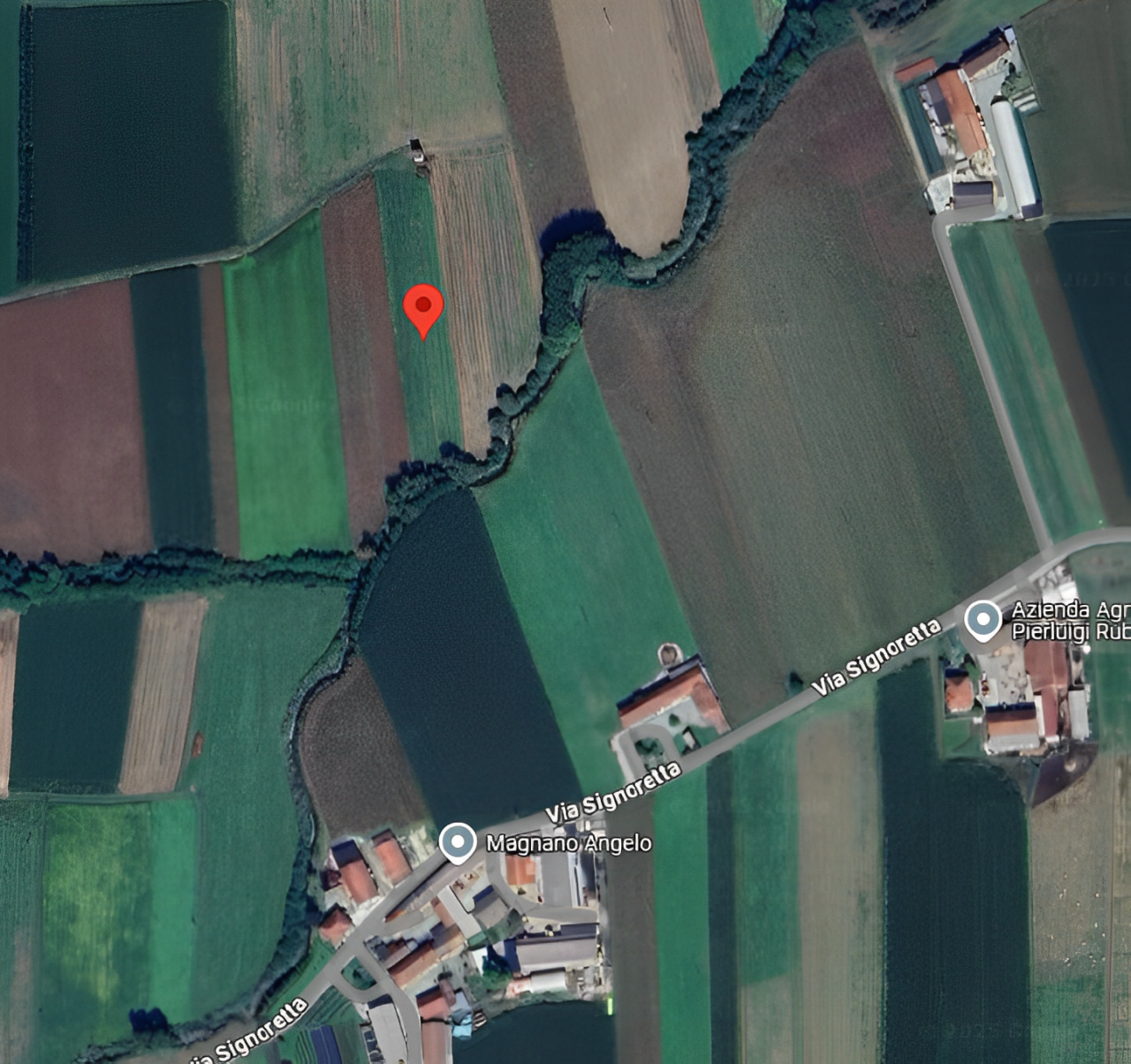 immobile TERRENO AGRICOLO IN VENDITA ALL'ASTA IN VIA SALUZZO ANTICA, BARGE (CN) - 5