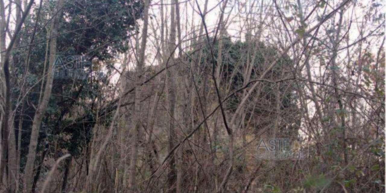 immobile FABBRICATO RURALE CON BOSCO ALL'ASTA IN VIA VIGNANO PIEVE A CELLE, PISTOIA (PT) - 3
