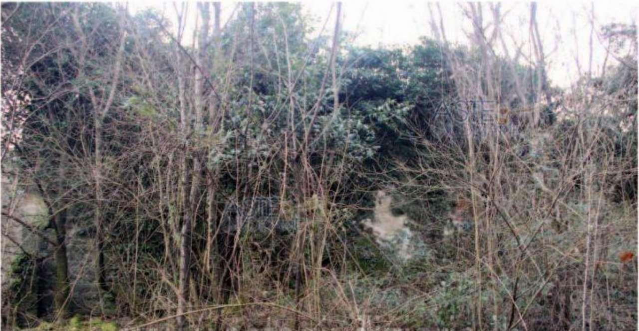 immobile FABBRICATO RURALE CON BOSCO ALL'ASTA IN VIA VIGNANO PIEVE A CELLE, PISTOIA (PT) - 5