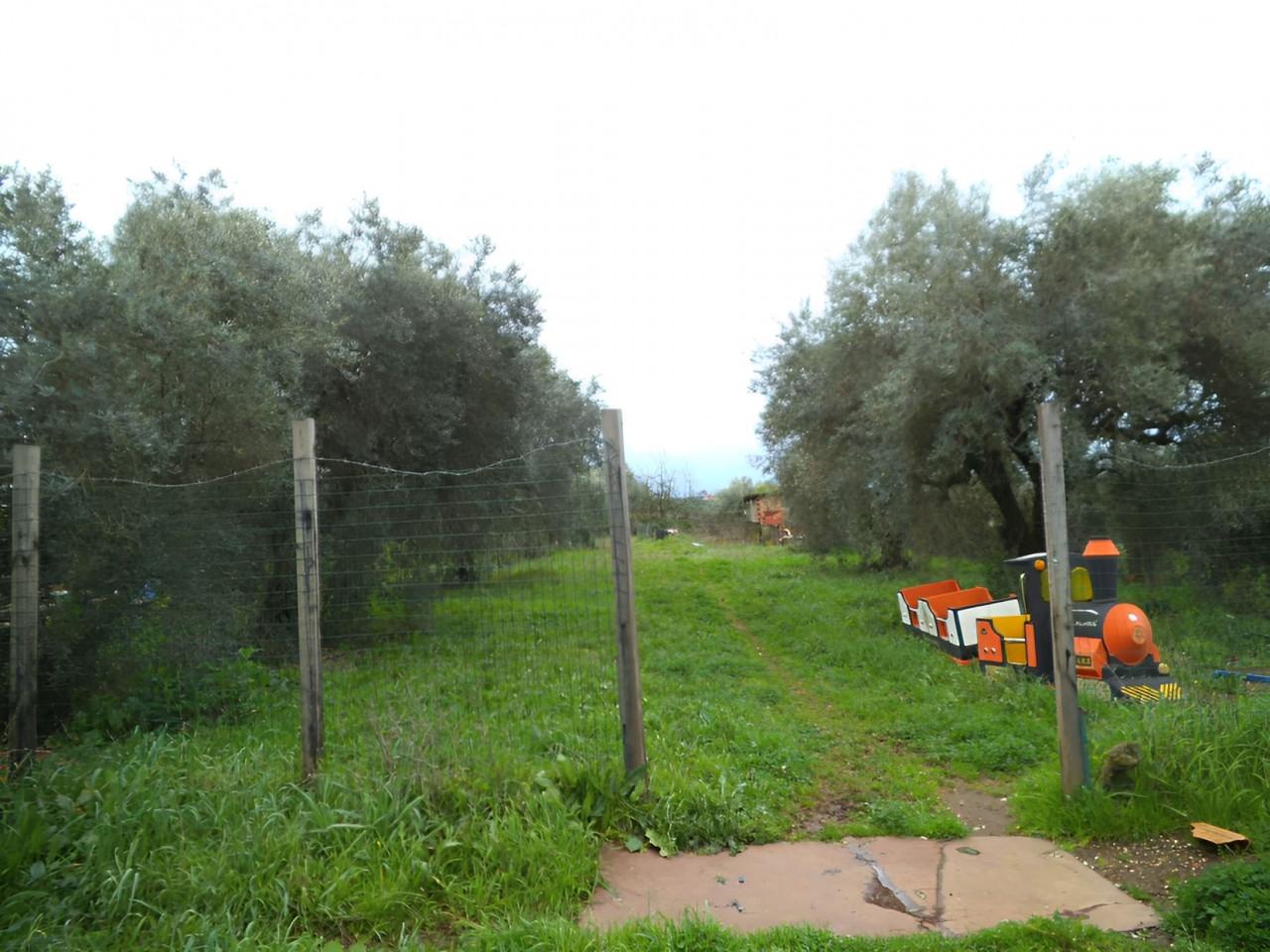 immobile ABITAZIONE IN VENDITA ALL'ASTA IN CONTRADA QUARTACCIO, CORI (LT) - 5