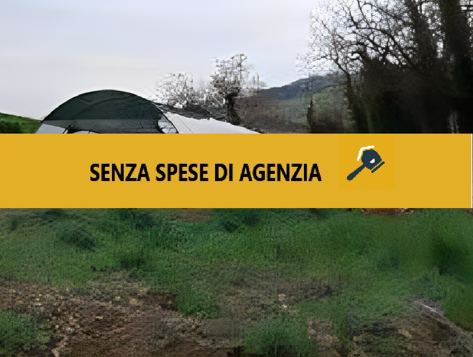 immobile TERRENO AGRICOLO IN VENDITA ALL'ASTA IN CONTRADA SANT'IMERO, RIPATRANSONE (AP) - 1