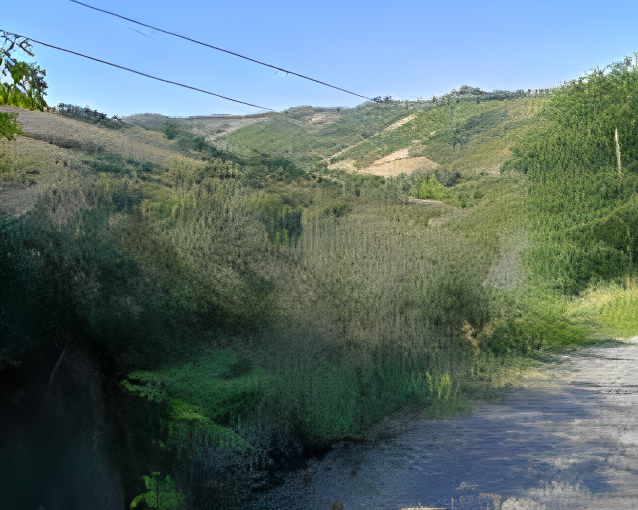 immobile TERRENO AGRICOLO IN VENDITA ALL'ASTA IN CONTRADA SANT'IMERO, RIPATRANSONE (AP) - 4