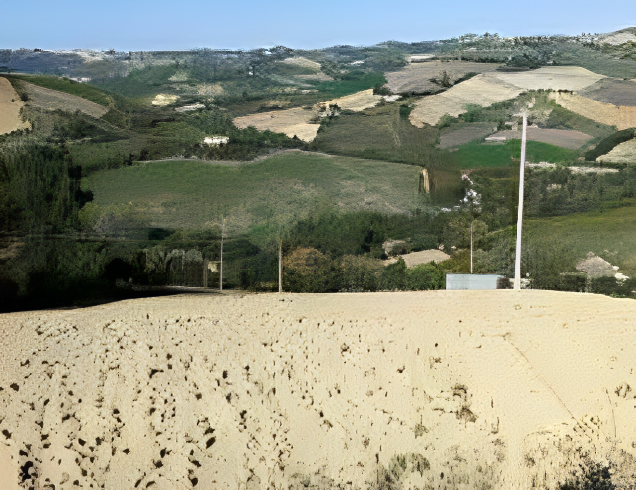 immobile TERRENO AGRICOLO IN VENDITA ALL'ASTA IN CONTRADA SANT'IMERO, RIPATRANSONE (AP) - 5